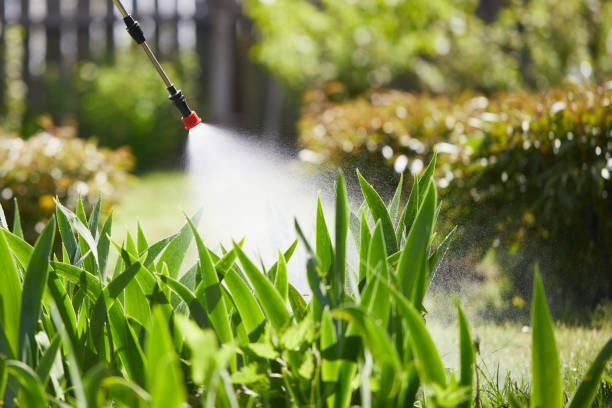Tamper-Resistant Bait Stations for Rodents in Laverne