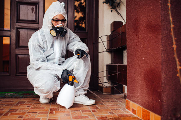Attic and Crawl Space Rodent Treatment in Laverne
